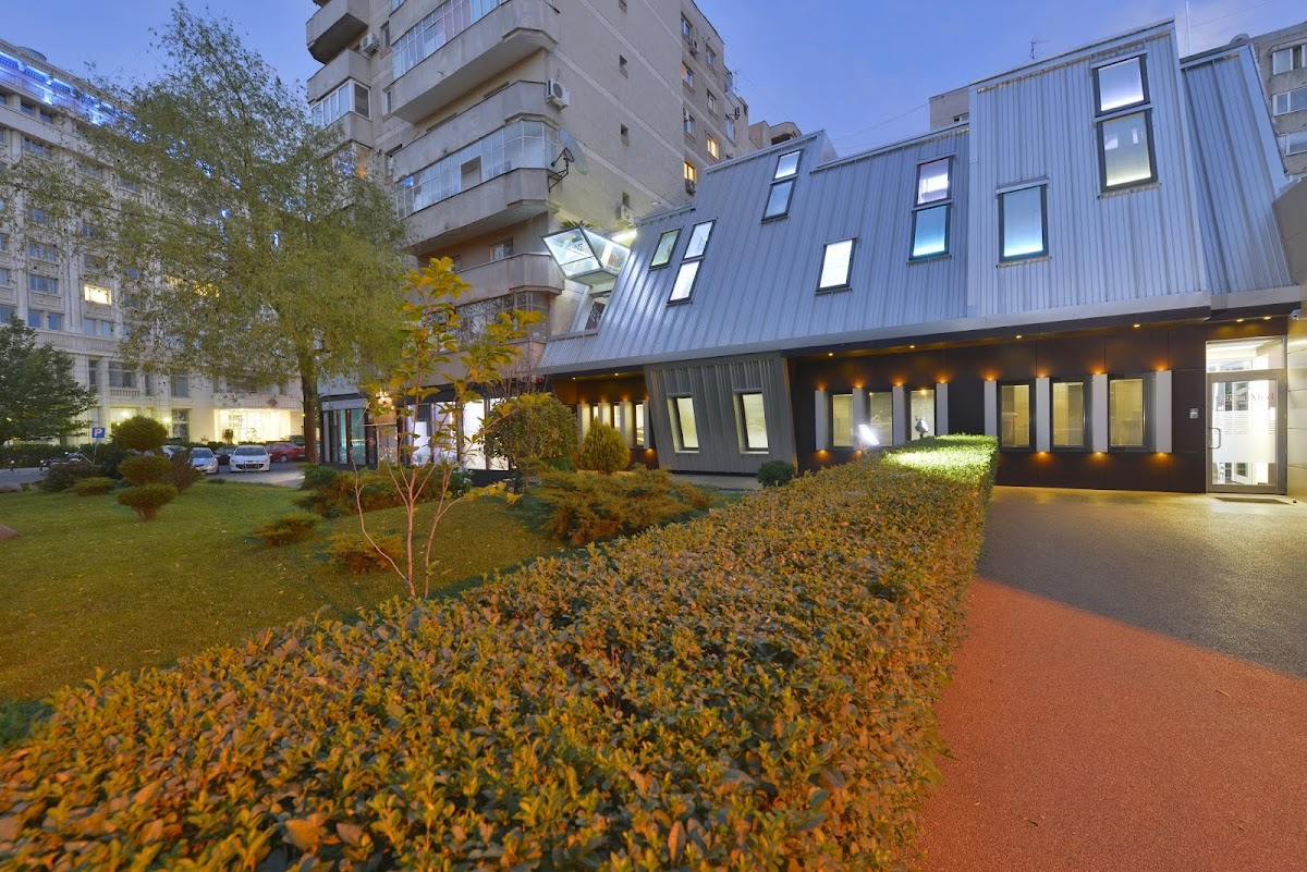 DentalMed Luxury photo 10