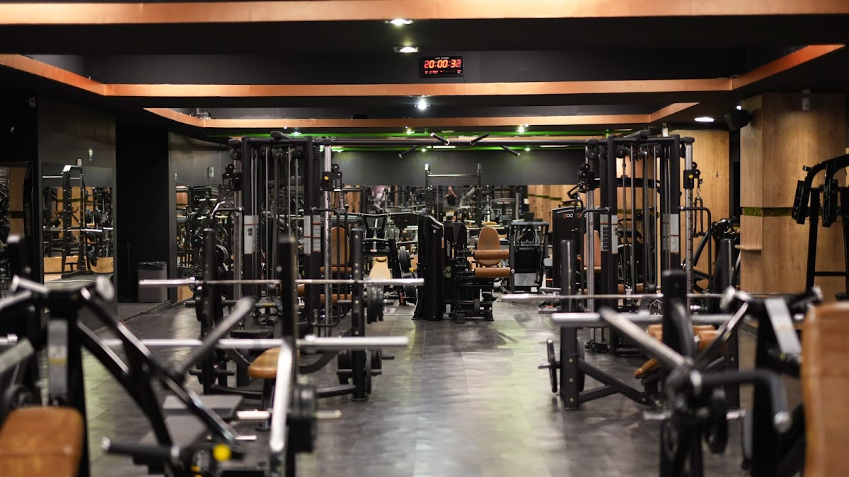 Downtown Fitness Mihalache photo 1