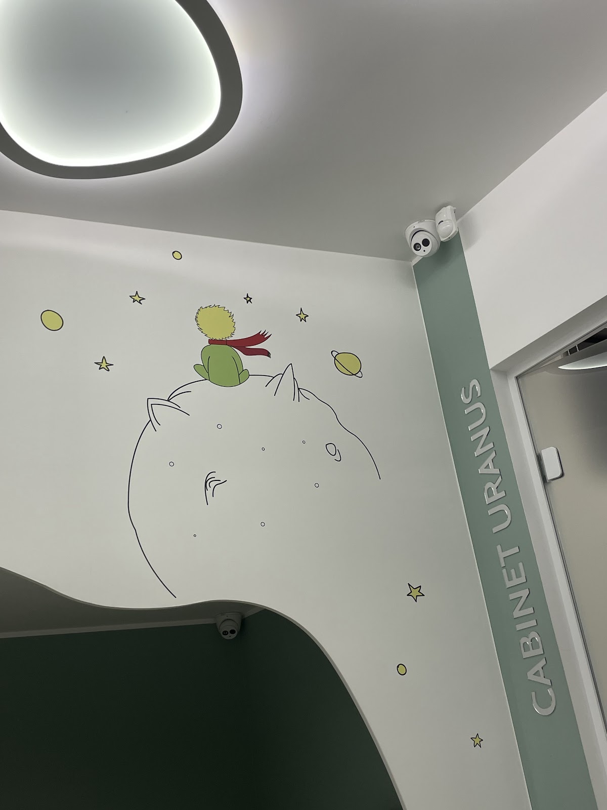 Premium Dent photo 7